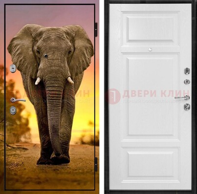Металлическая дверь с фотопечатью слона ДФ-30 во Владимире