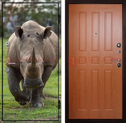 Металлическая дверь с фотопечатью носорога ДФ-31 во Владимире