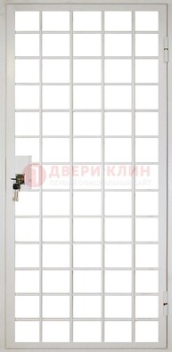 Белая металлическая решетчатая дверь ДР-2 во Владимире